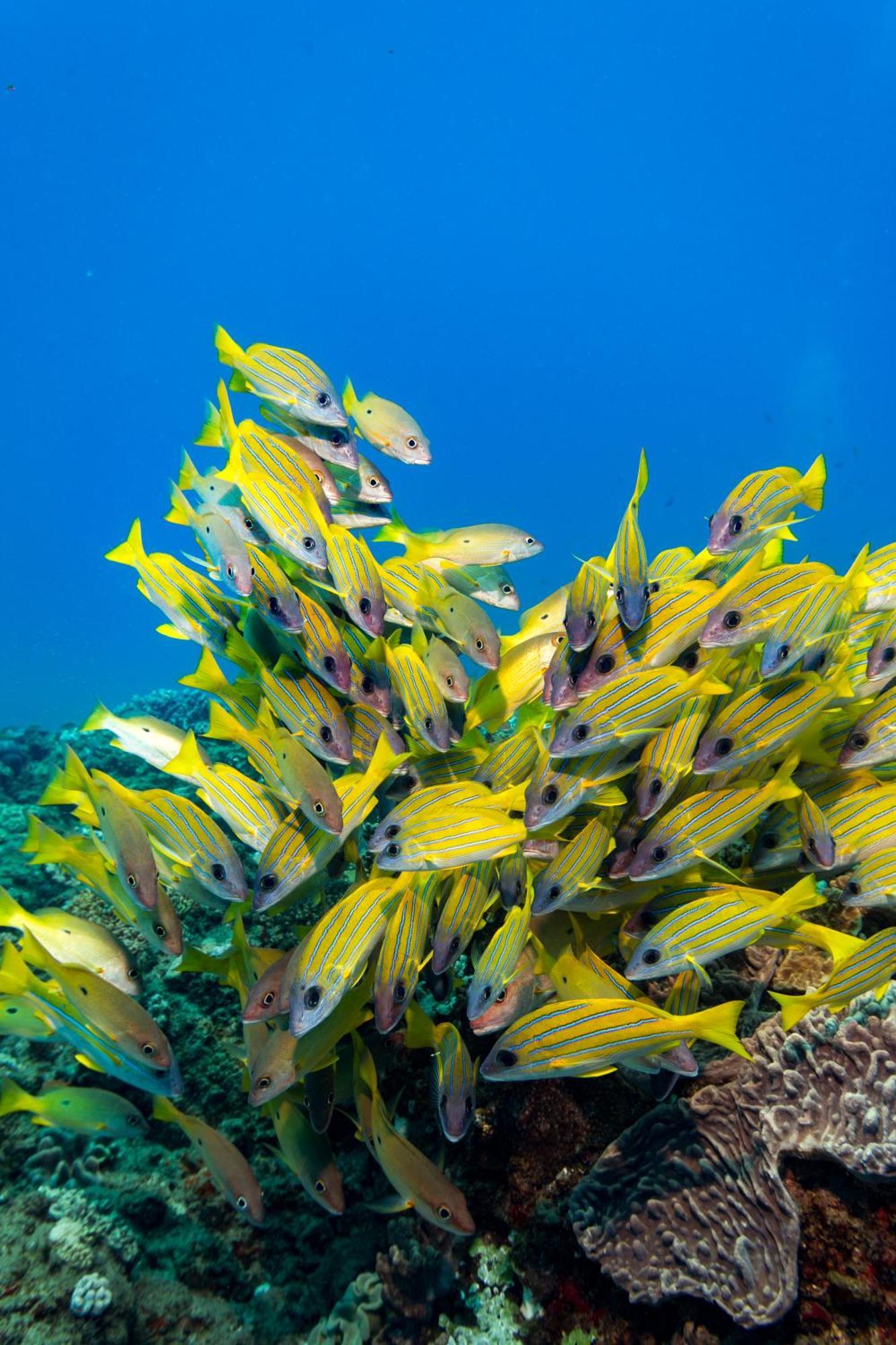 Sodwana Bay Lodge Dive & Fishing Resort Eksteriør bilde