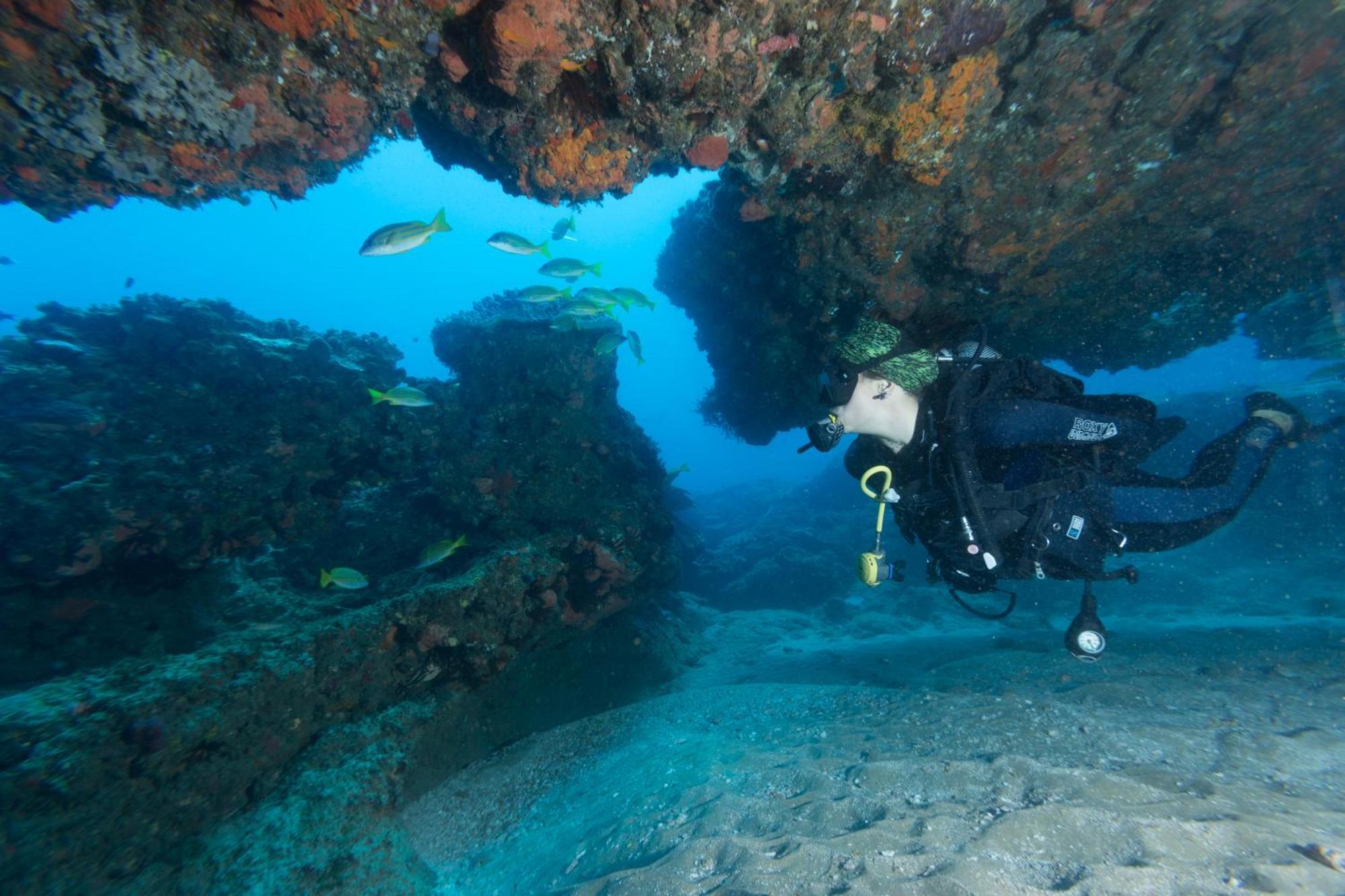 Sodwana Bay Lodge Dive & Fishing Resort Eksteriør bilde