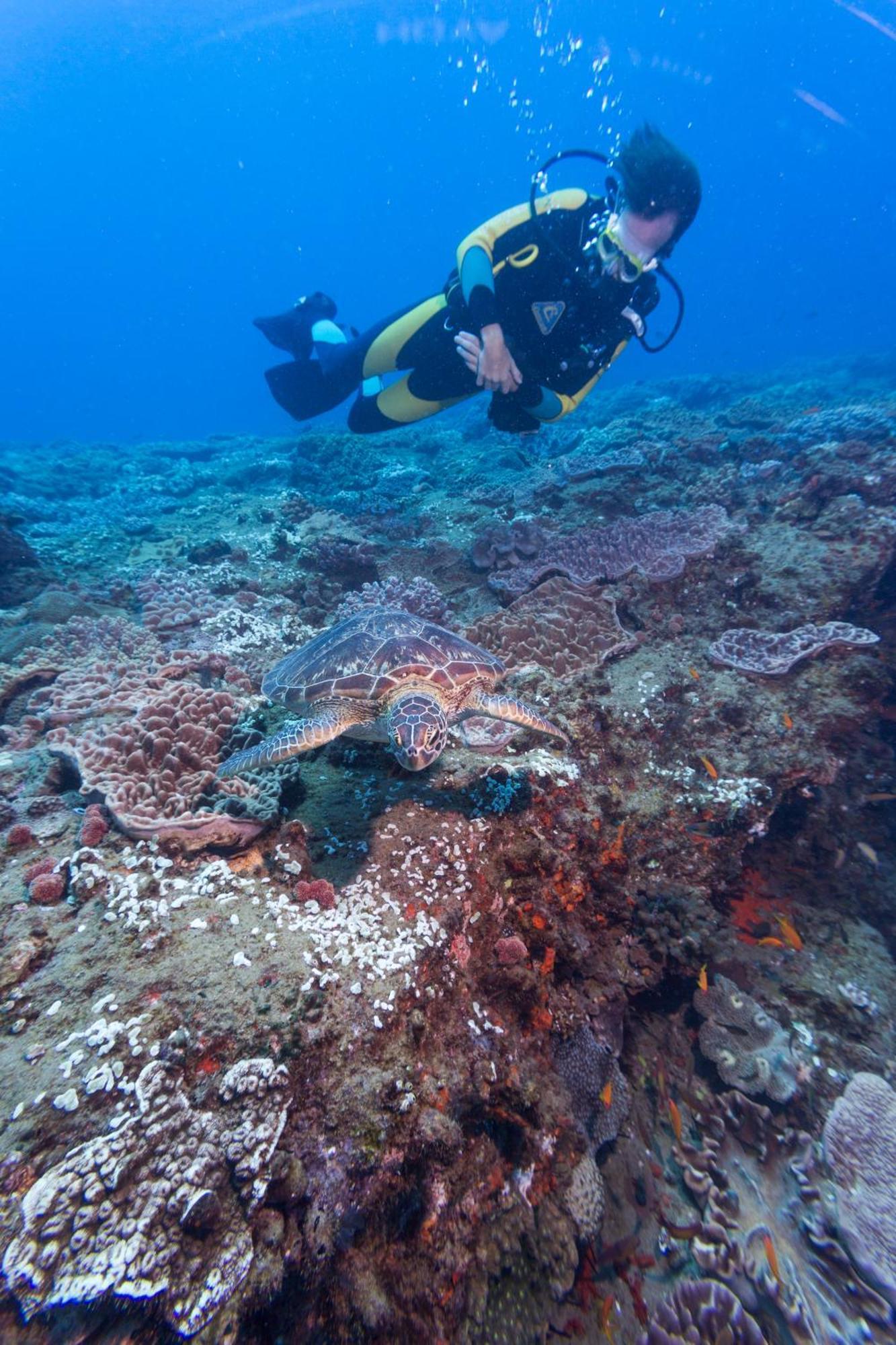Sodwana Bay Lodge Dive & Fishing Resort Eksteriør bilde